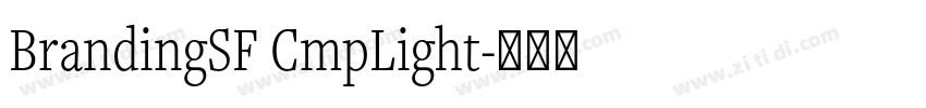 BrandingSF CmpLight字体转换